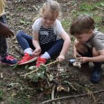 N and T Forest School 4
