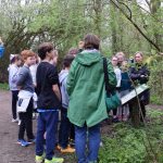 gosfield nature reserve