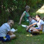 Year 5 Novel Study in the shade