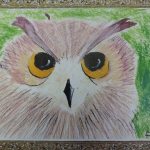 Polly - 2D Individual 'Owl'
