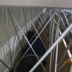 Ollie under the stage