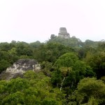 jungle canopy Tikal