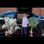 Henry L - film star