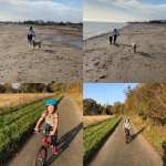 CiN Flo walk & ride 8m