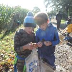 Nature ramble 3